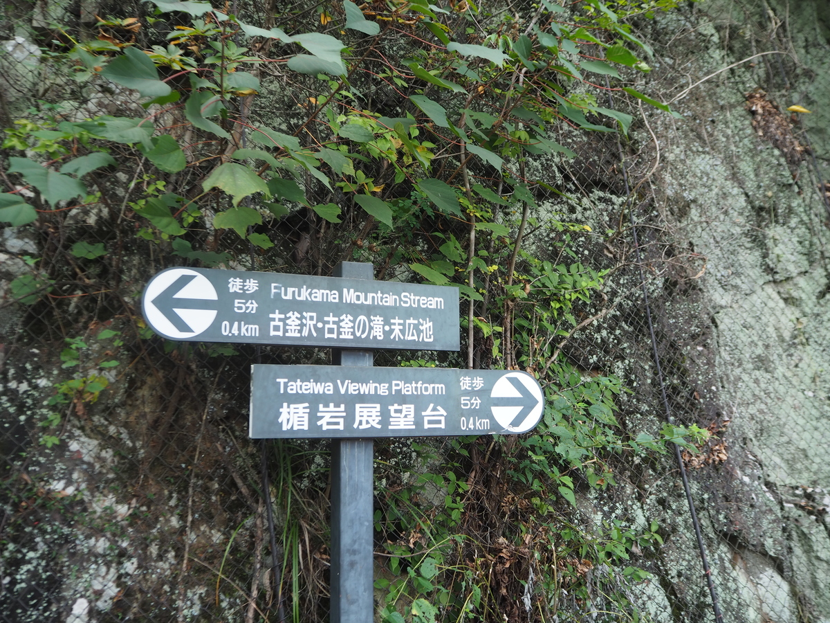 鬼怒楯岩大吊橋3