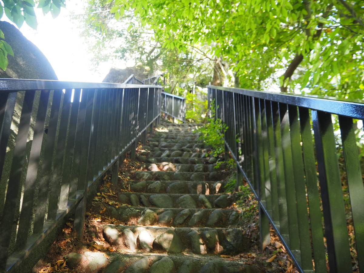 鬼怒楯岩大吊橋4