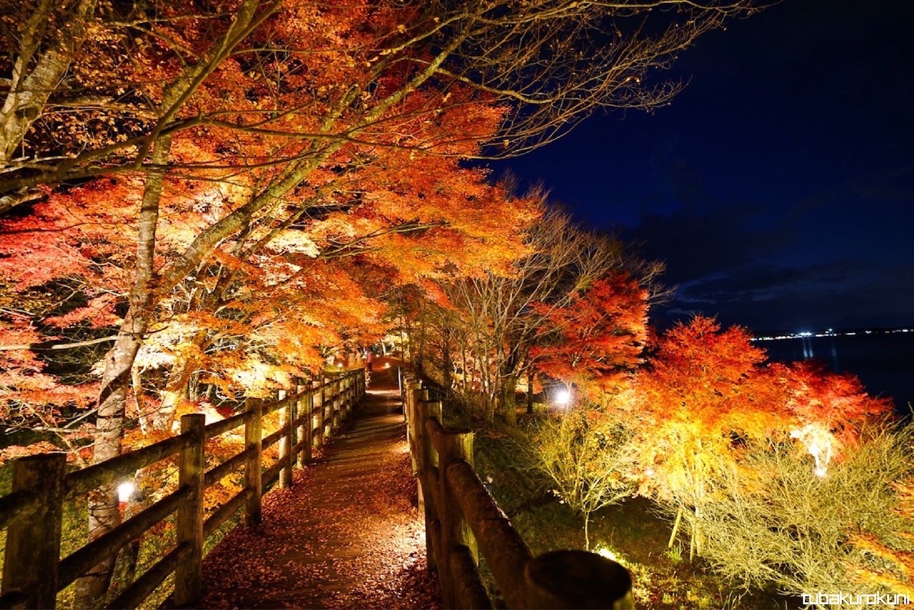 夕焼けの渚 紅葉まつり2