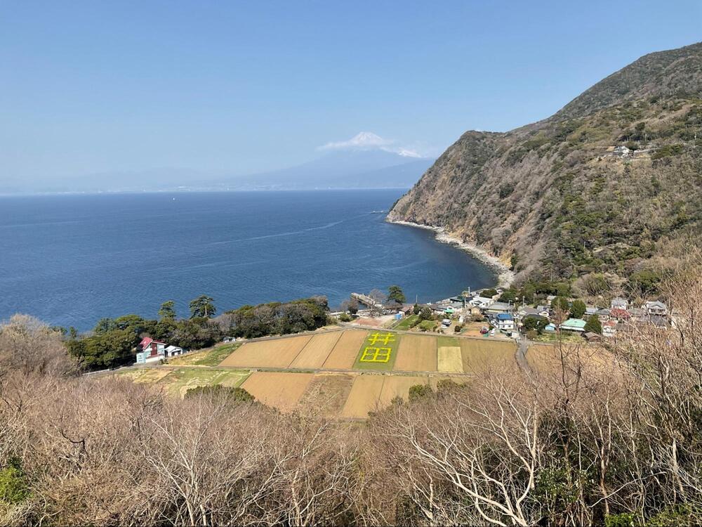 煌めきの丘