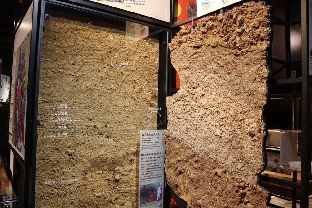 箱根ジオミュージアム展示2