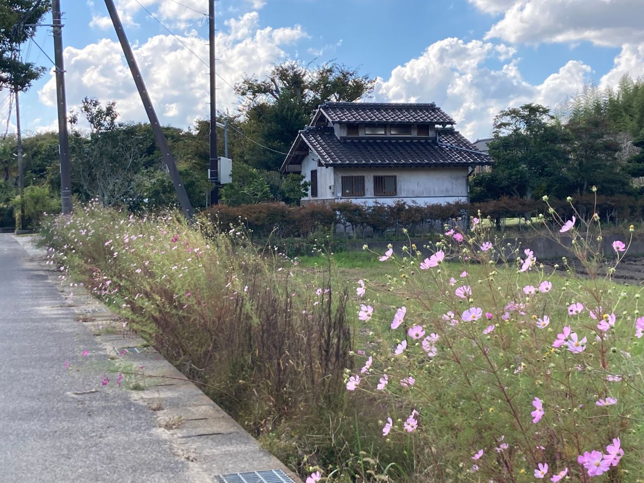 伊能忠敬記念公園8