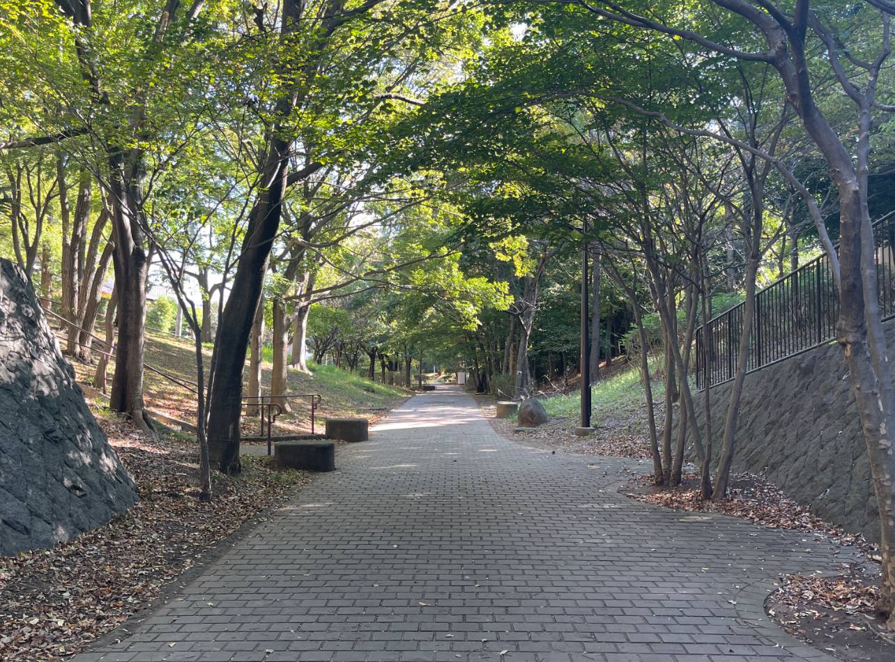 都筑緑道南山田方面