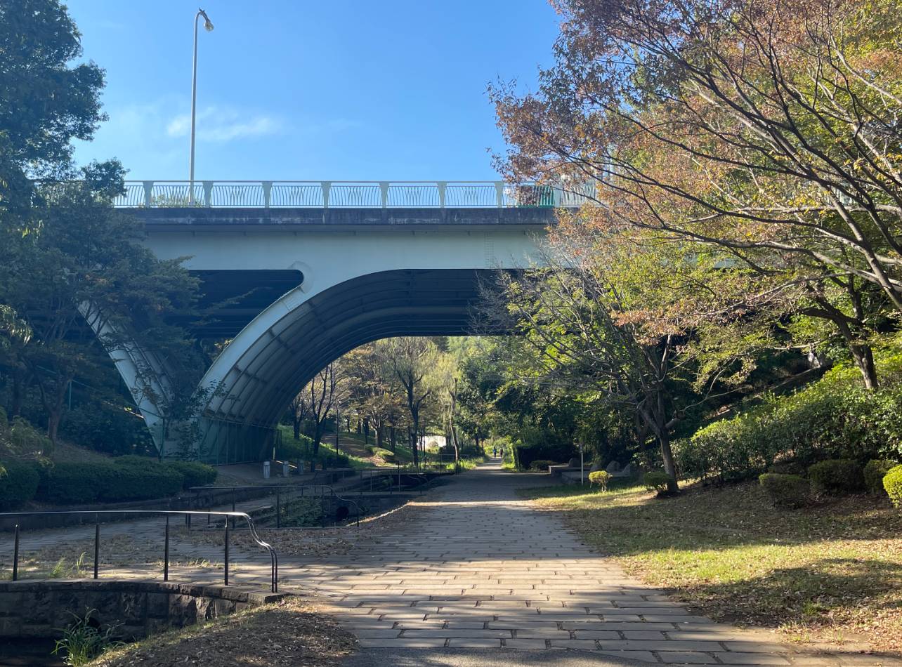 都筑緑道くさぶえの道高架橋下