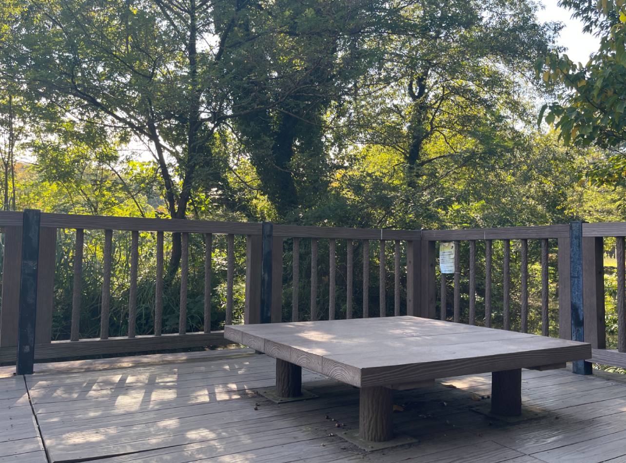 都筑緑道徳生公園ウッドデッキ