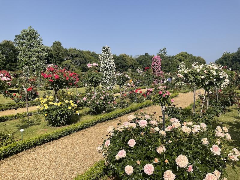 河津バガテル公園