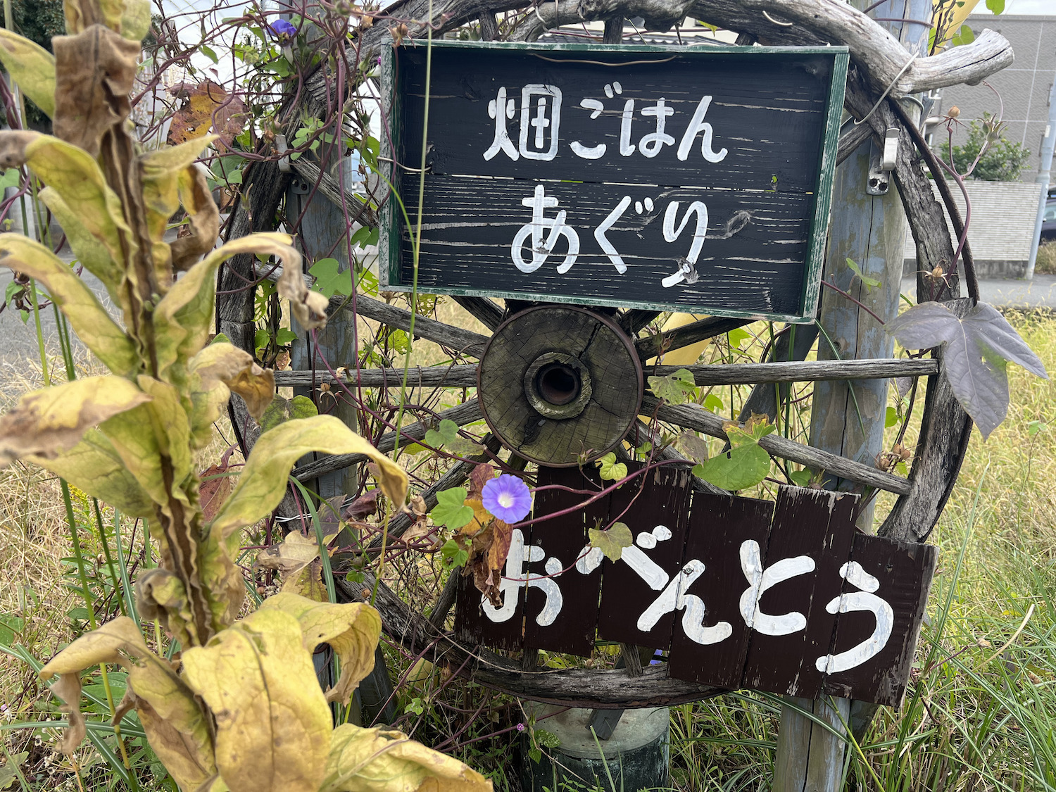 あぐり2