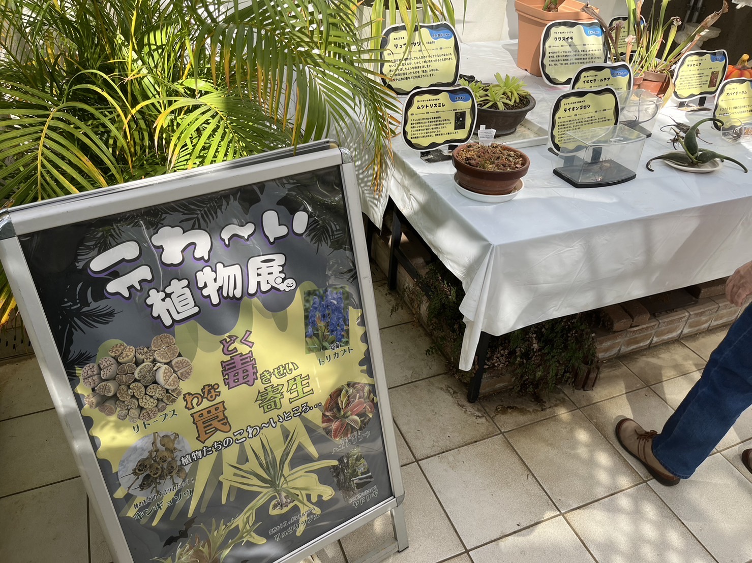 グリーンハウス内の展示①