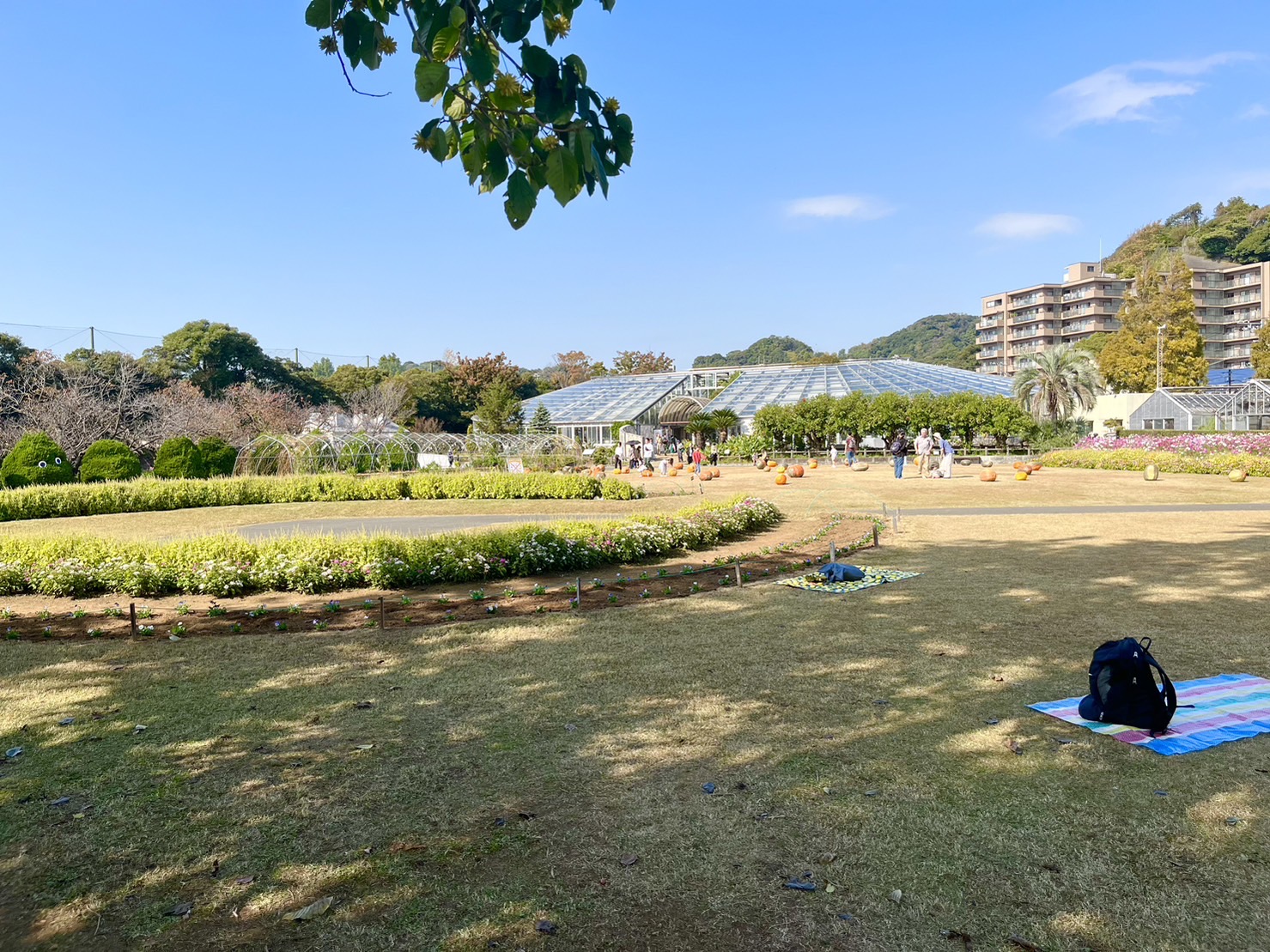 芝生広場
