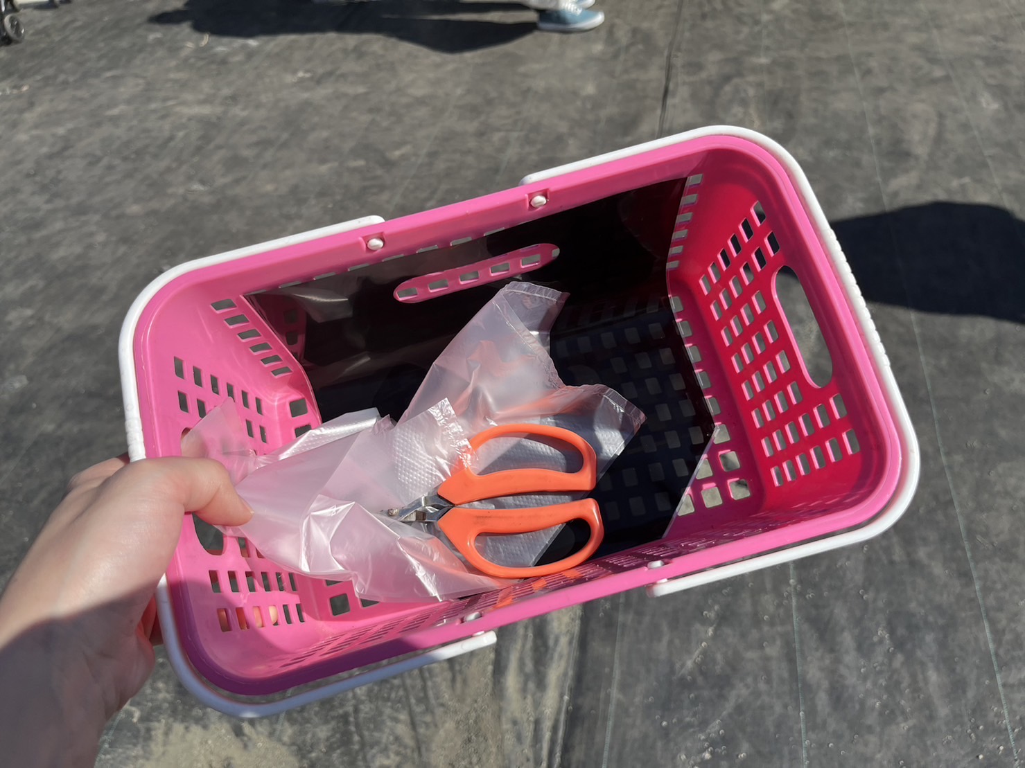 みかん狩り道具
