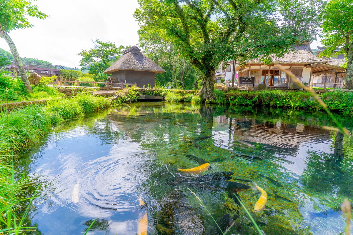 忍野八海を訪れるバスツアー