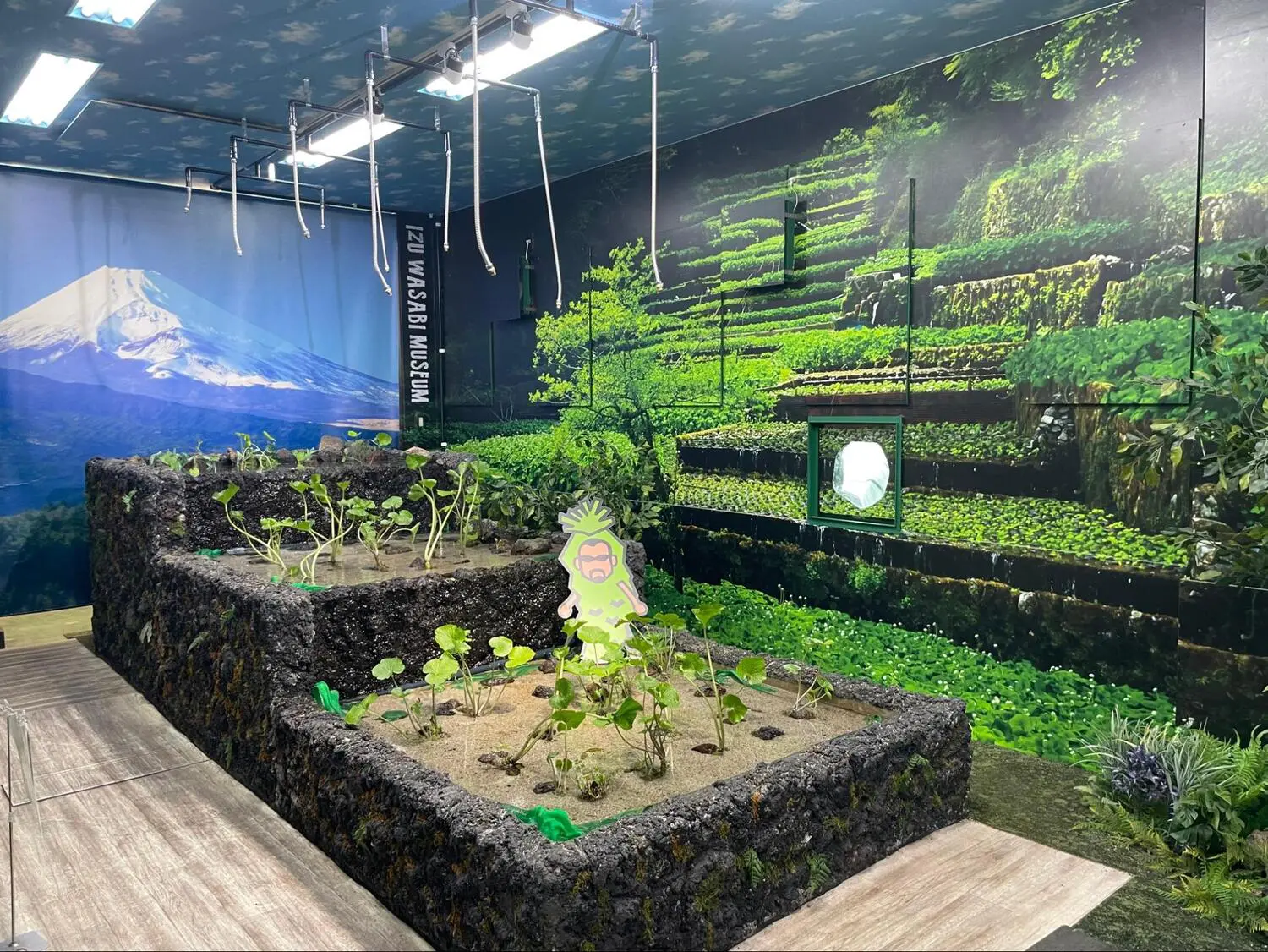 静岡で穴場観光を楽しもう！きっと新しい発見がある“知る人ぞ知る”スポット30選 | たびらい観光情報