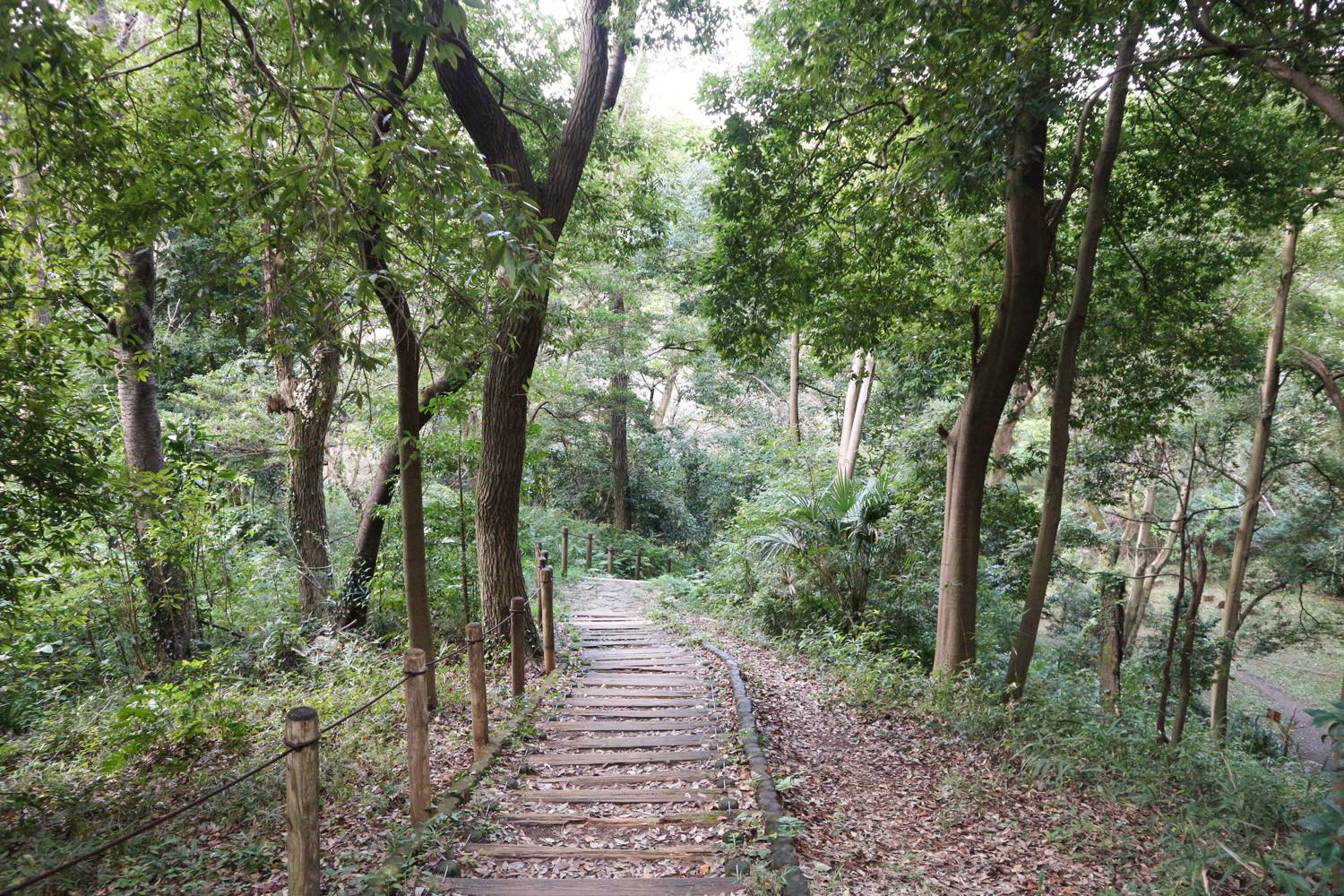 散策路