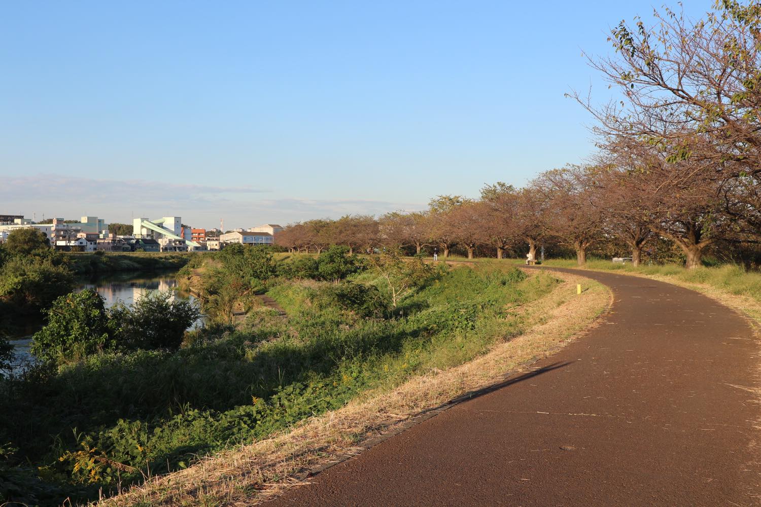 サイクリングロード