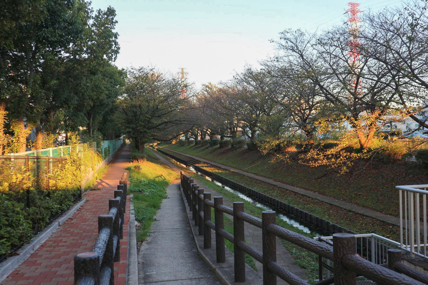 江川緑道