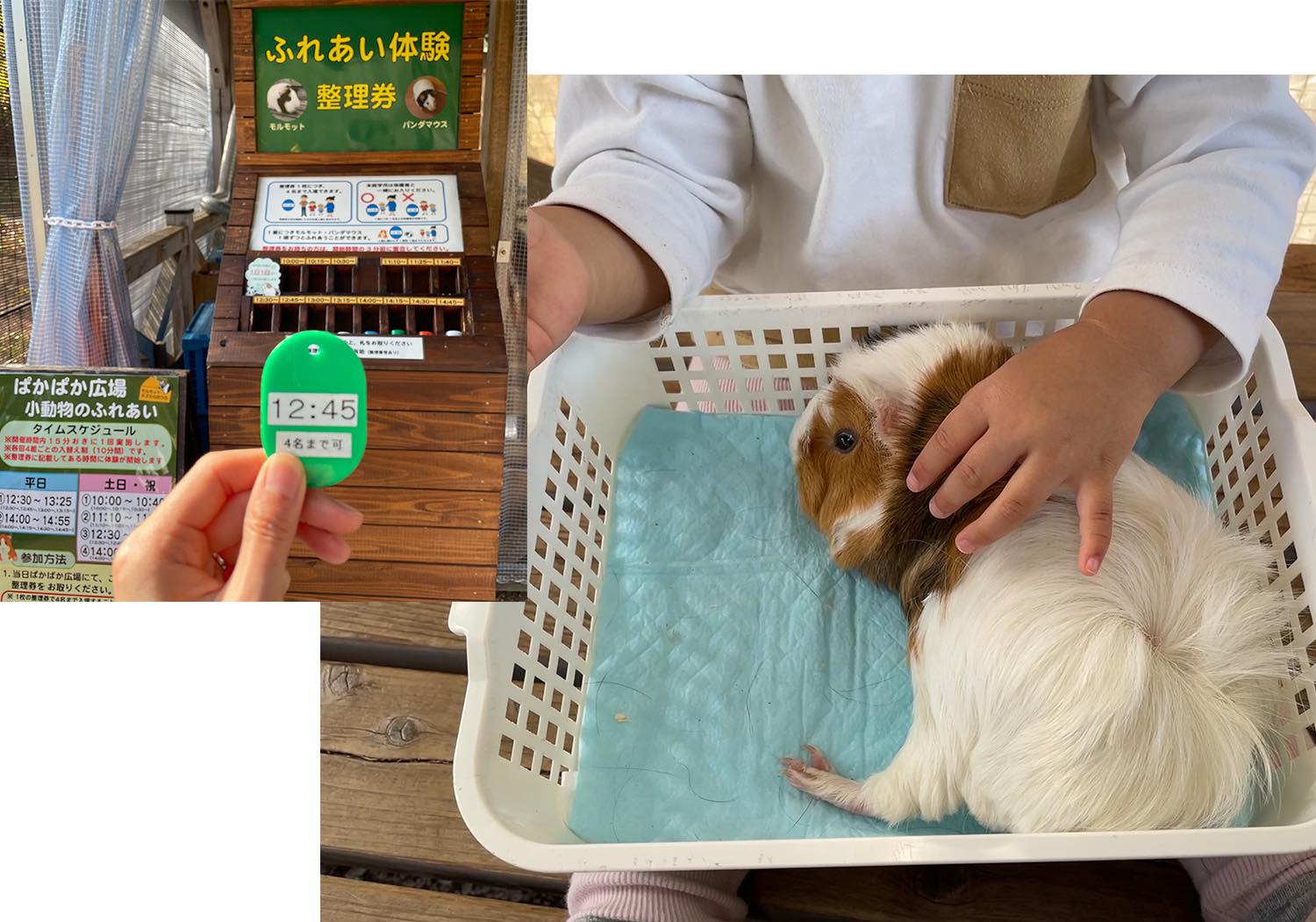 ふれあい