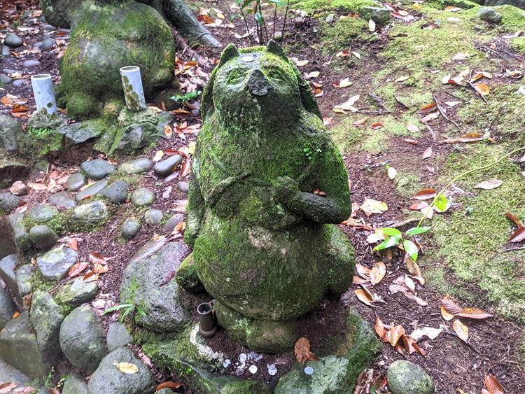 狸福神社のタヌキ