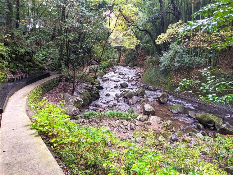湯河原観光のおすすめ10選!温泉にグルメ、自然散策まで人気スポットを厳選
