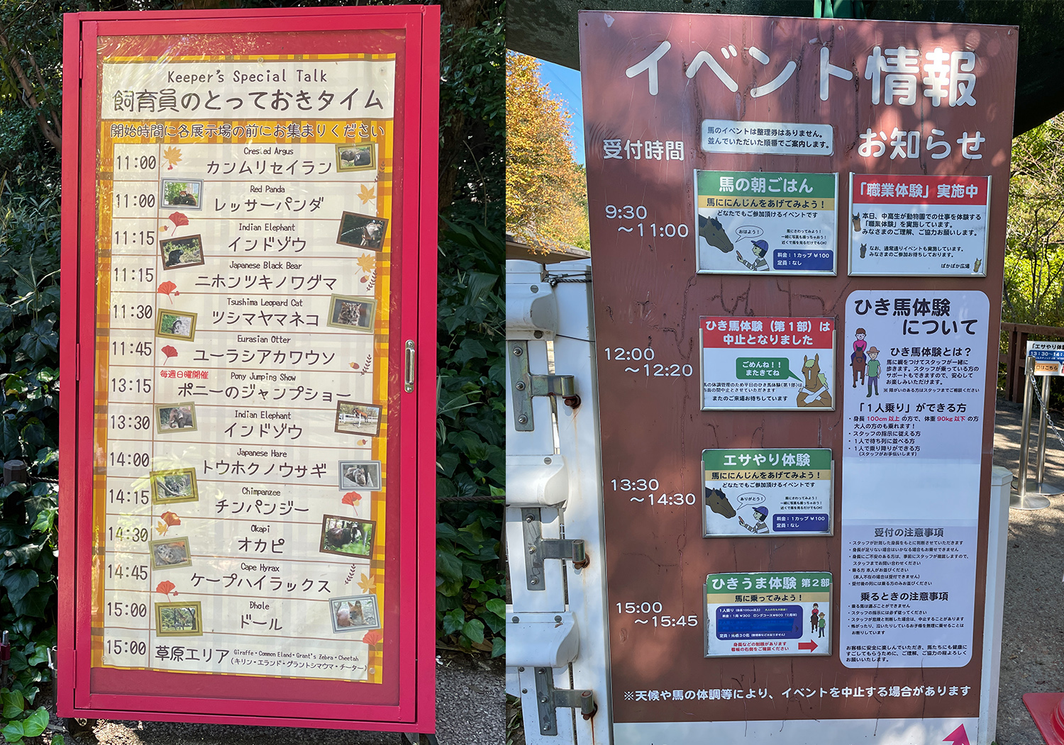スケジュール