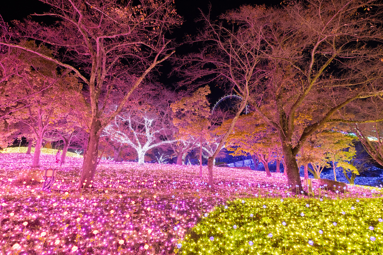 【相模原】関東最大級の光の祭典！「さがみ湖イルミリオン」が開催