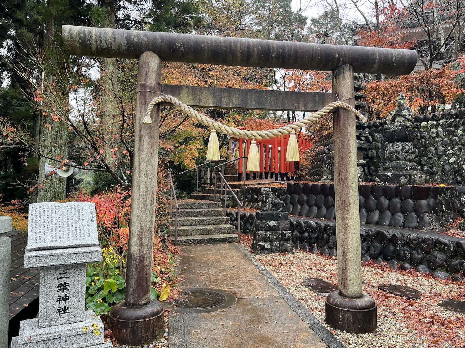 法多山8