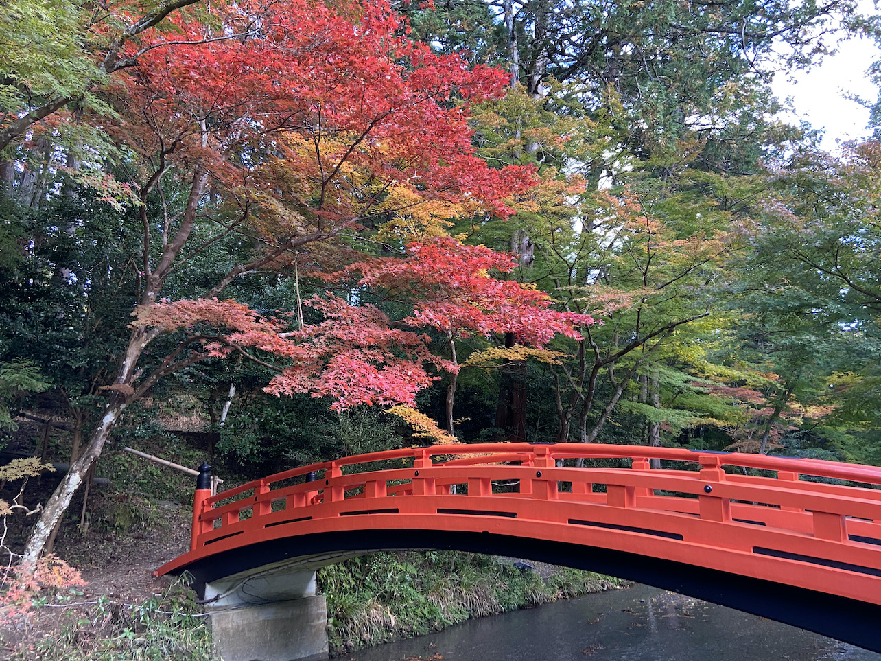 okunijinja4-1