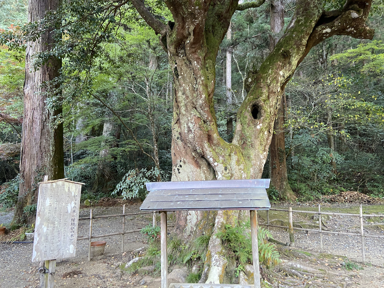 okunijinja6-2
