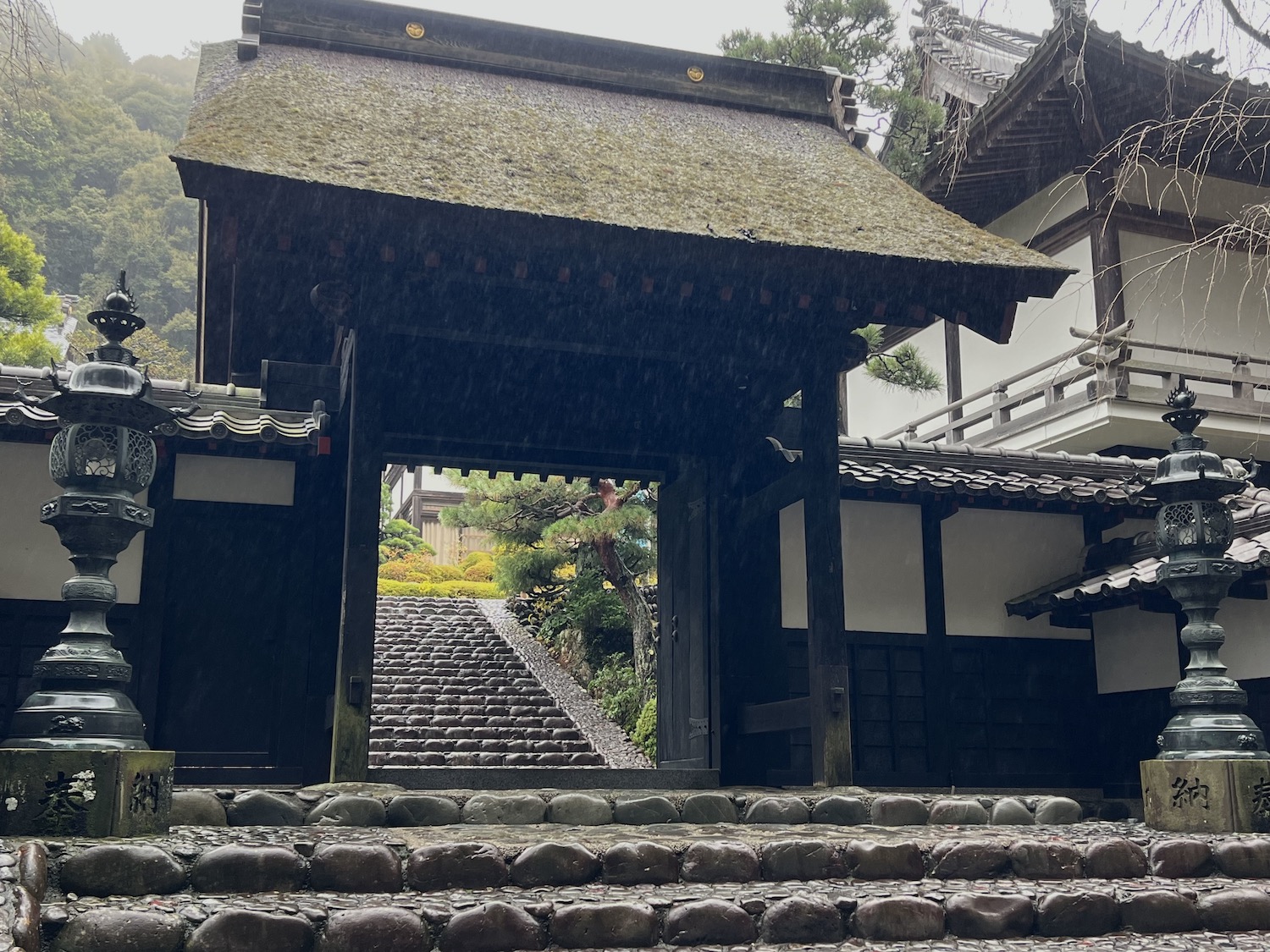 法多山5