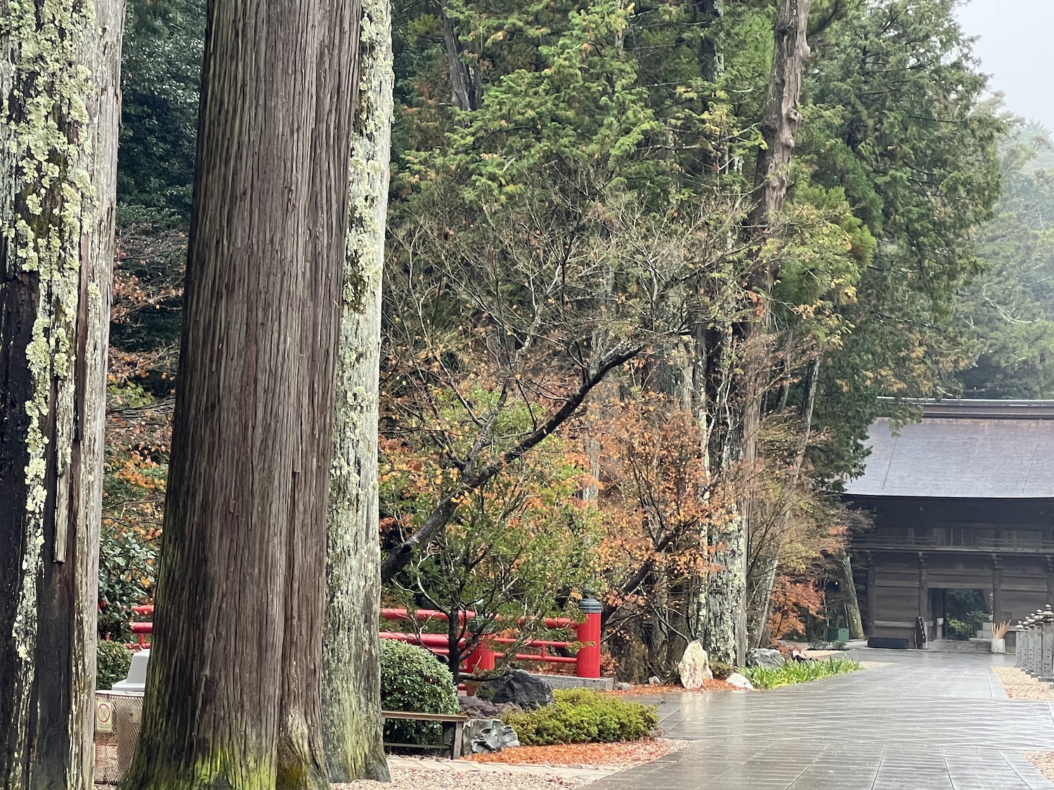 法多山3