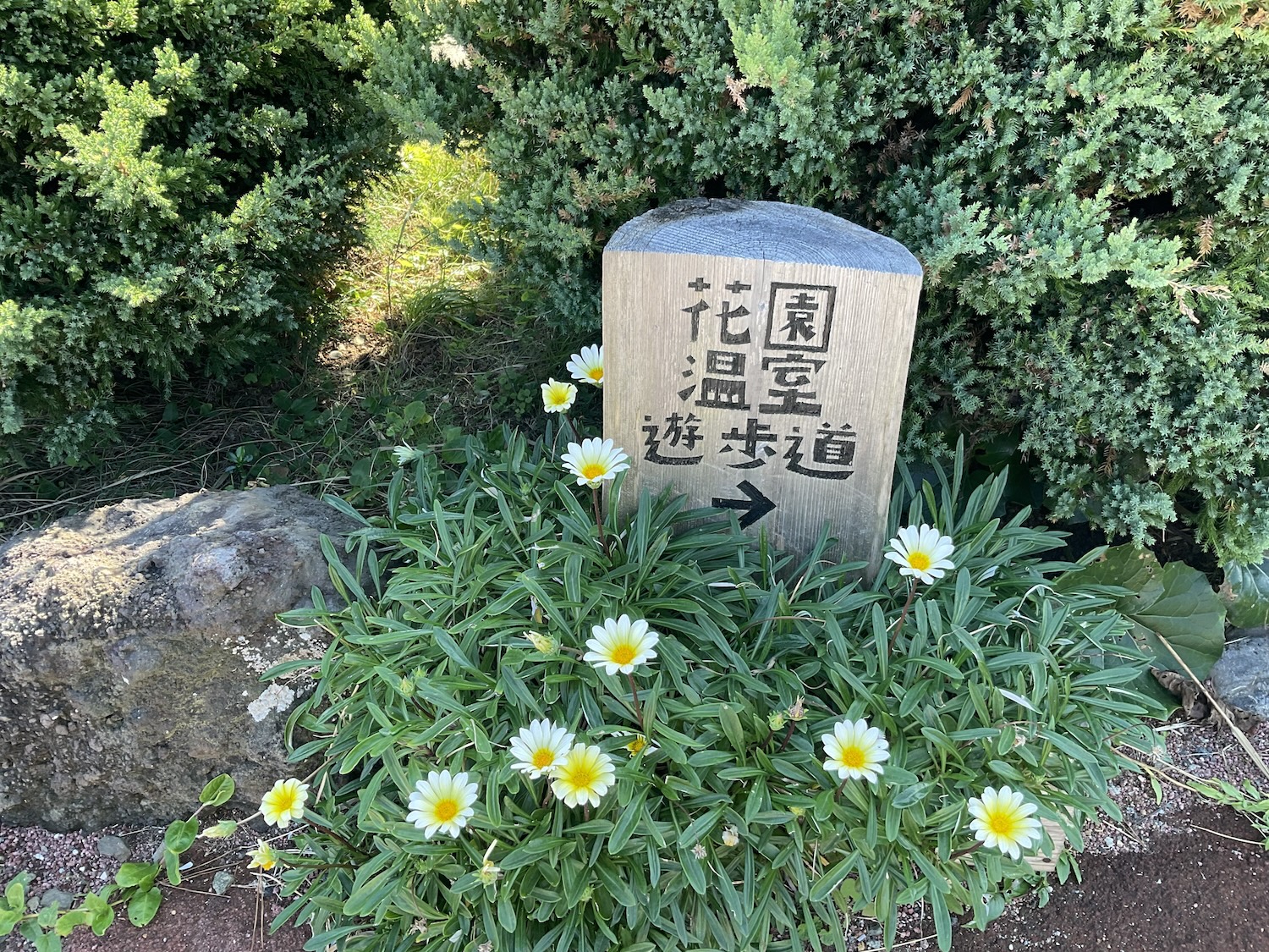 爪木崎　遊歩道の看板