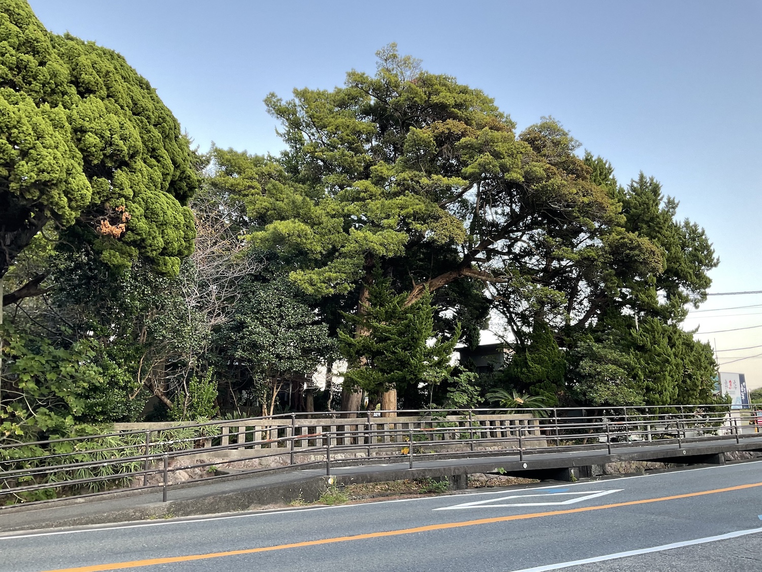 白浜神社外観
