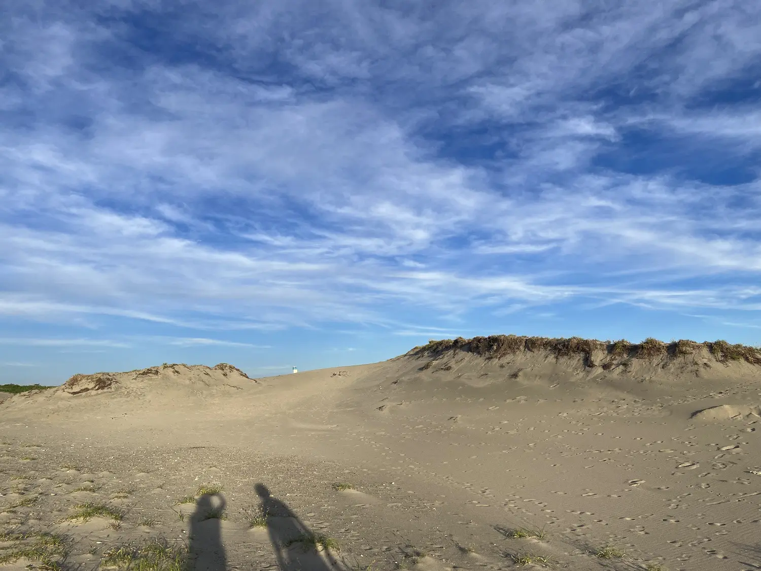 静岡で穴場観光を楽しもう！きっと新しい発見がある“知る人ぞ知る”スポット30選 | たびらい観光情報