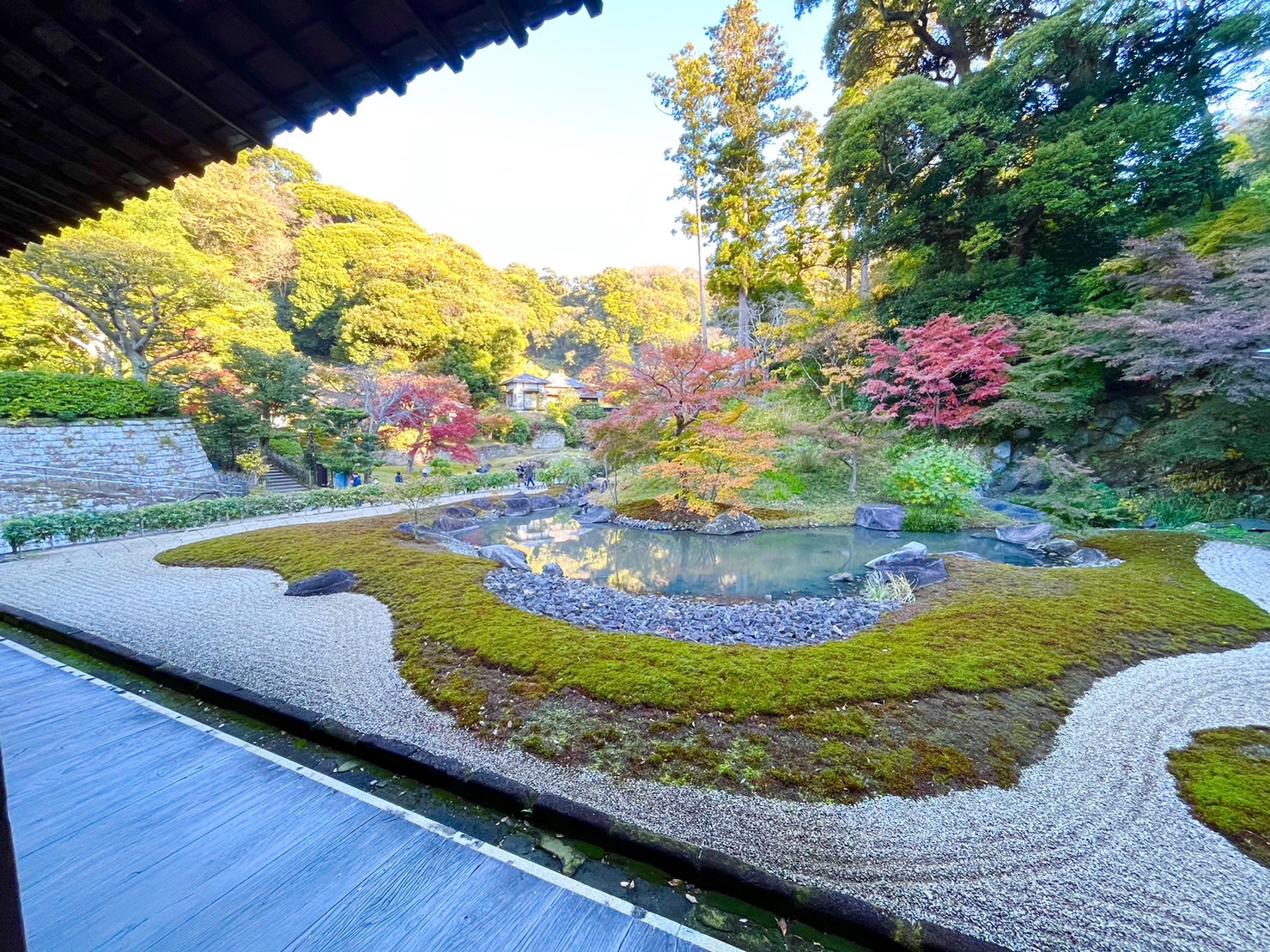 方丈から見る庭園