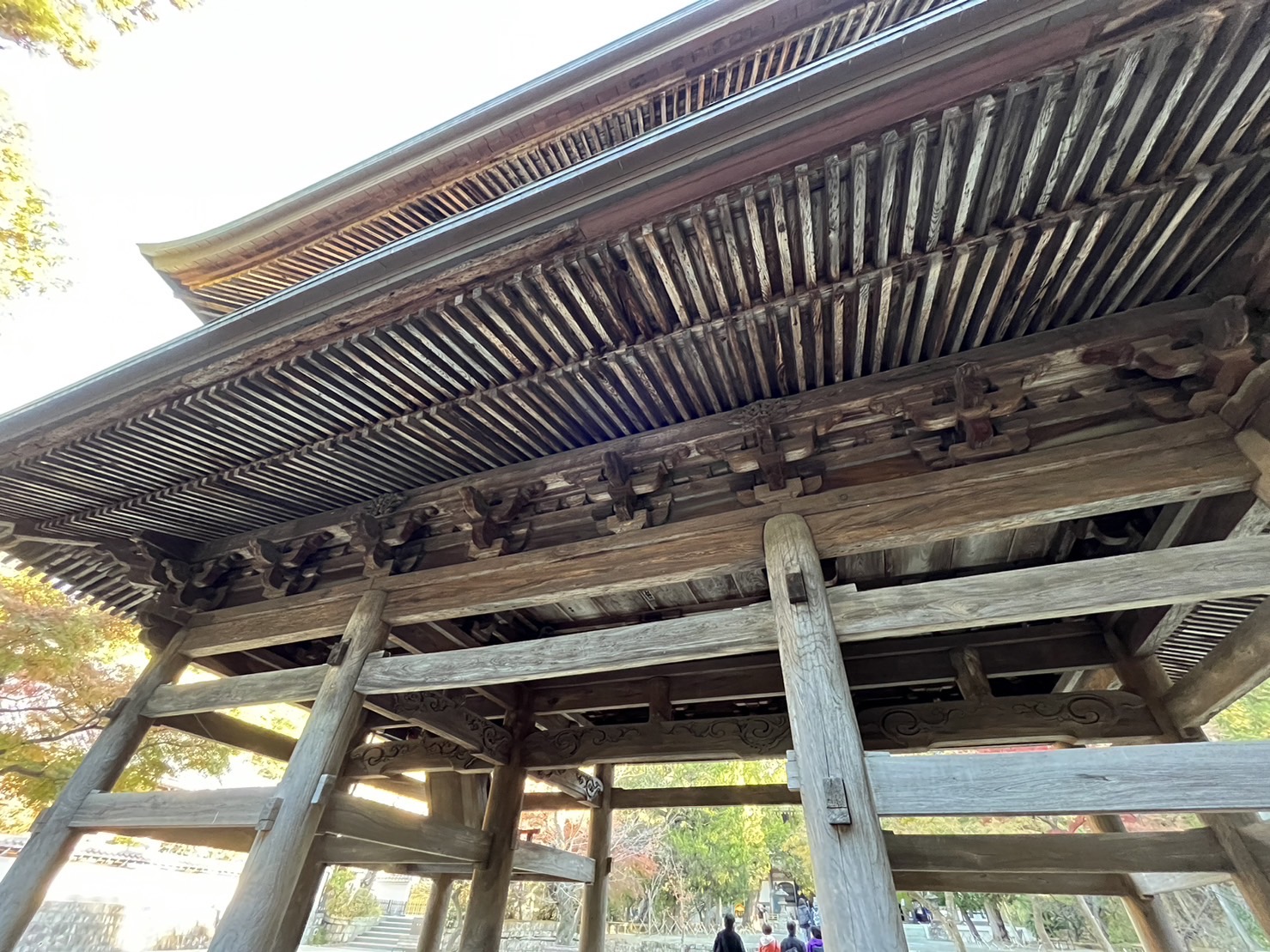 山門の扇垂木