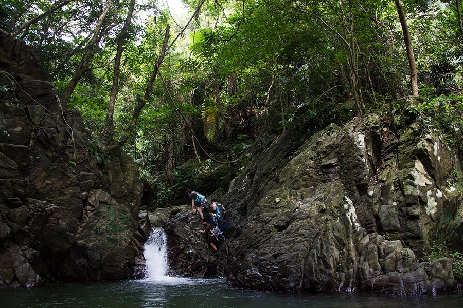名護・本部おすすめのツアー
