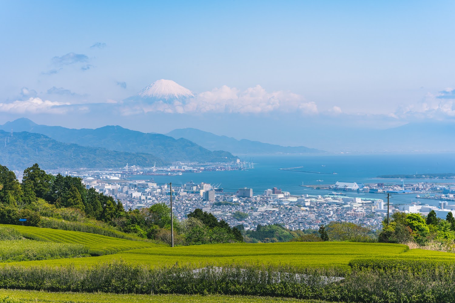 全景の茶の間