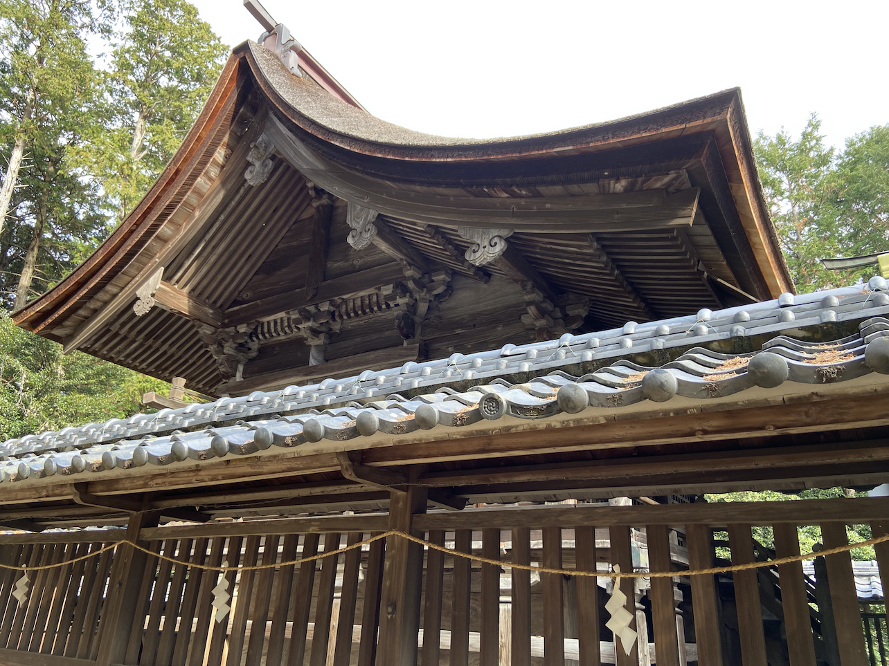 fujisengen1-2
