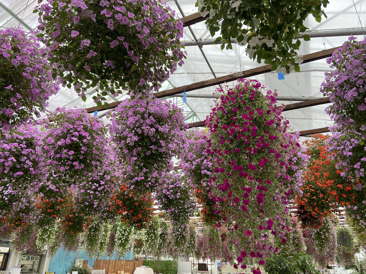 掛川花鳥園を訪れるバスツアー