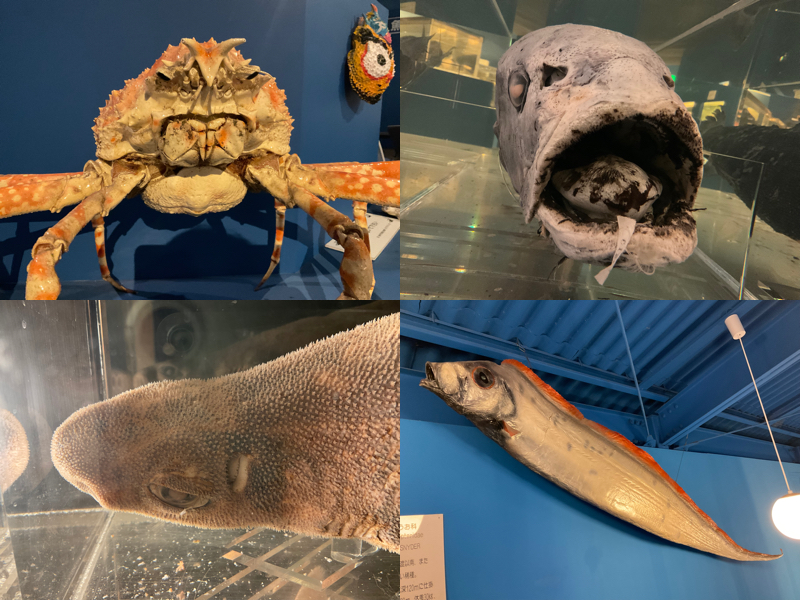 深海生物館