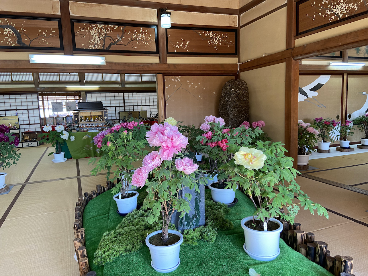kasuisai10-2