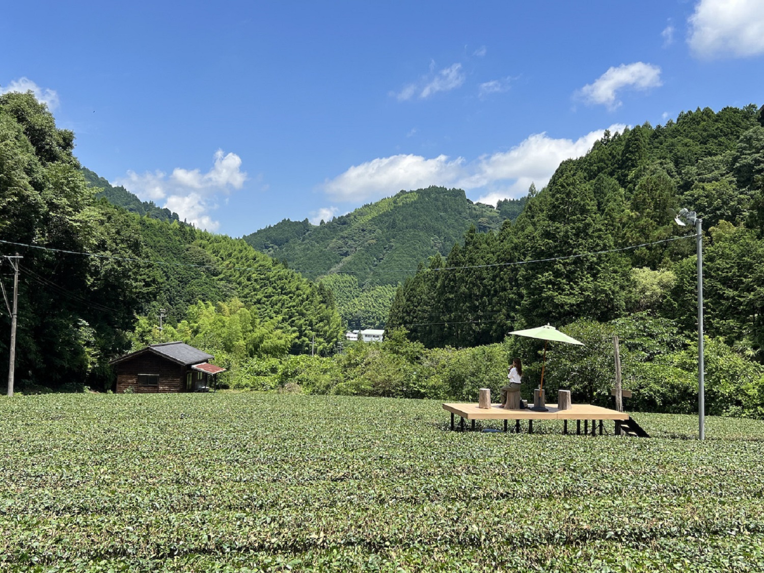 グリーンエイトカフェ