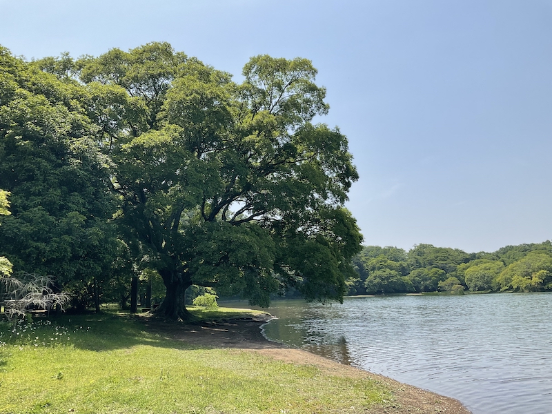 一碧湖