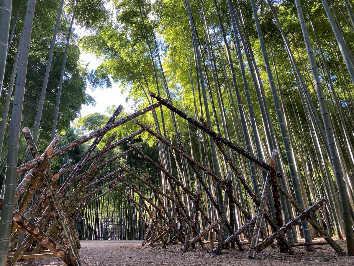 若山農場イメージ