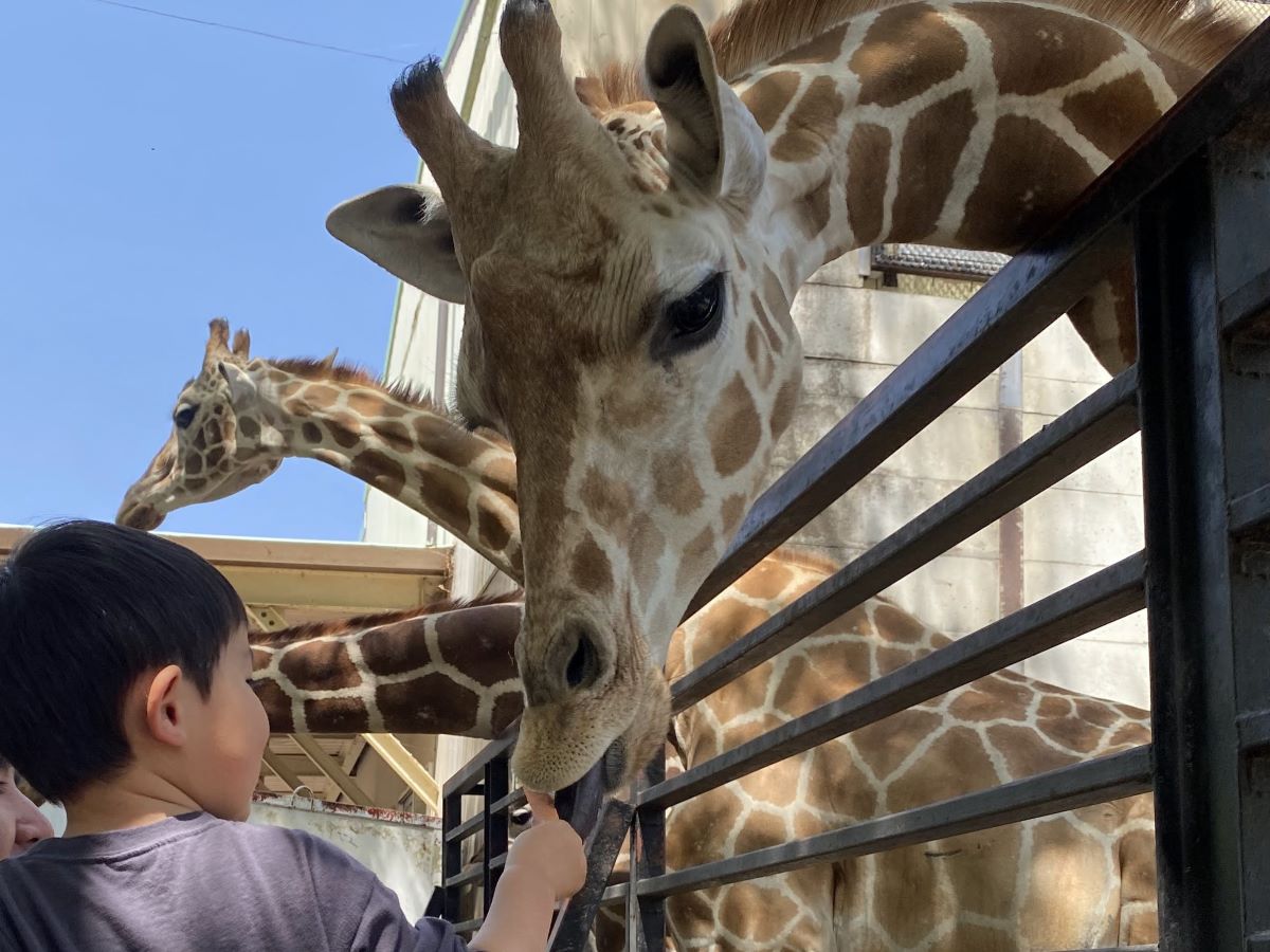 宇都宮動物園1