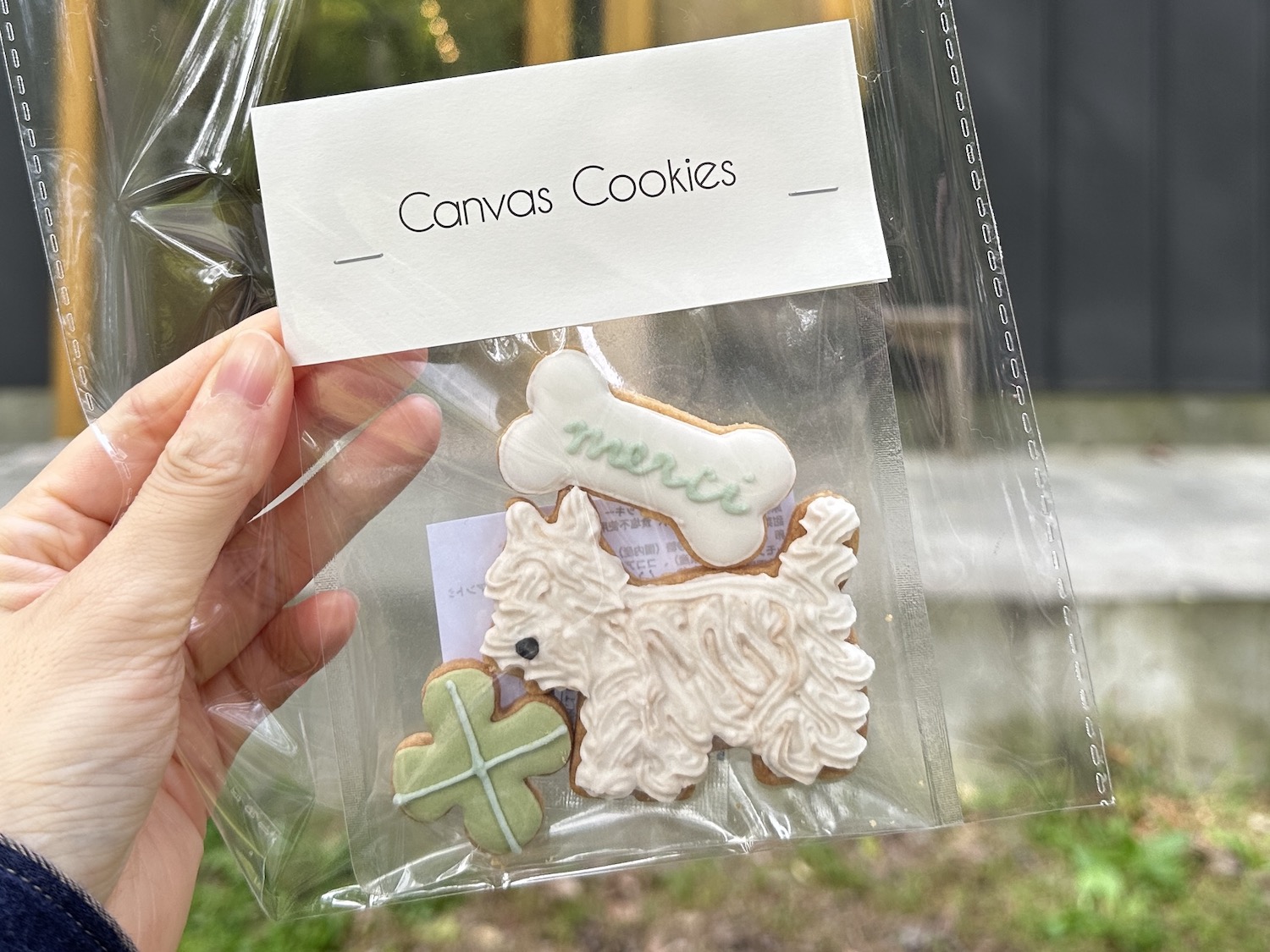 Canvas Cookies もりのいえ1