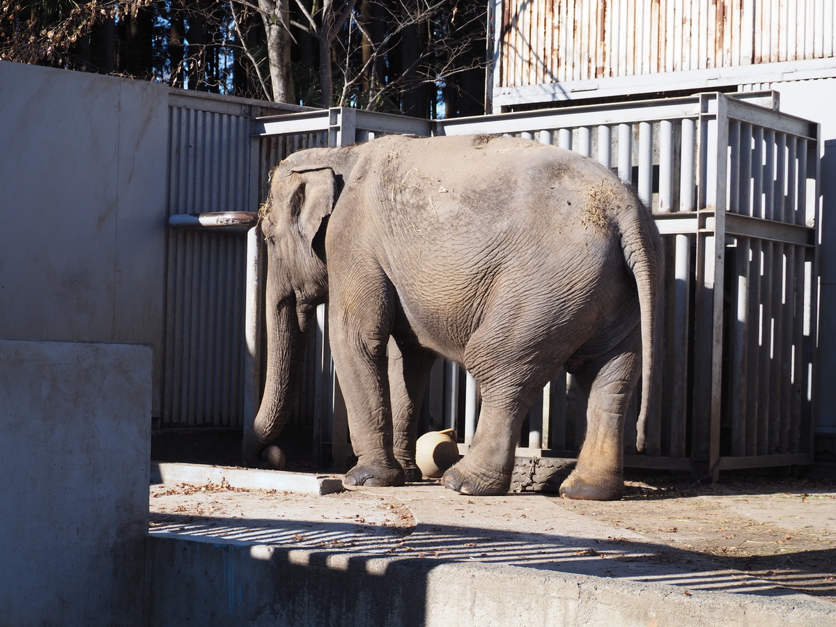 宇都宮動物園4