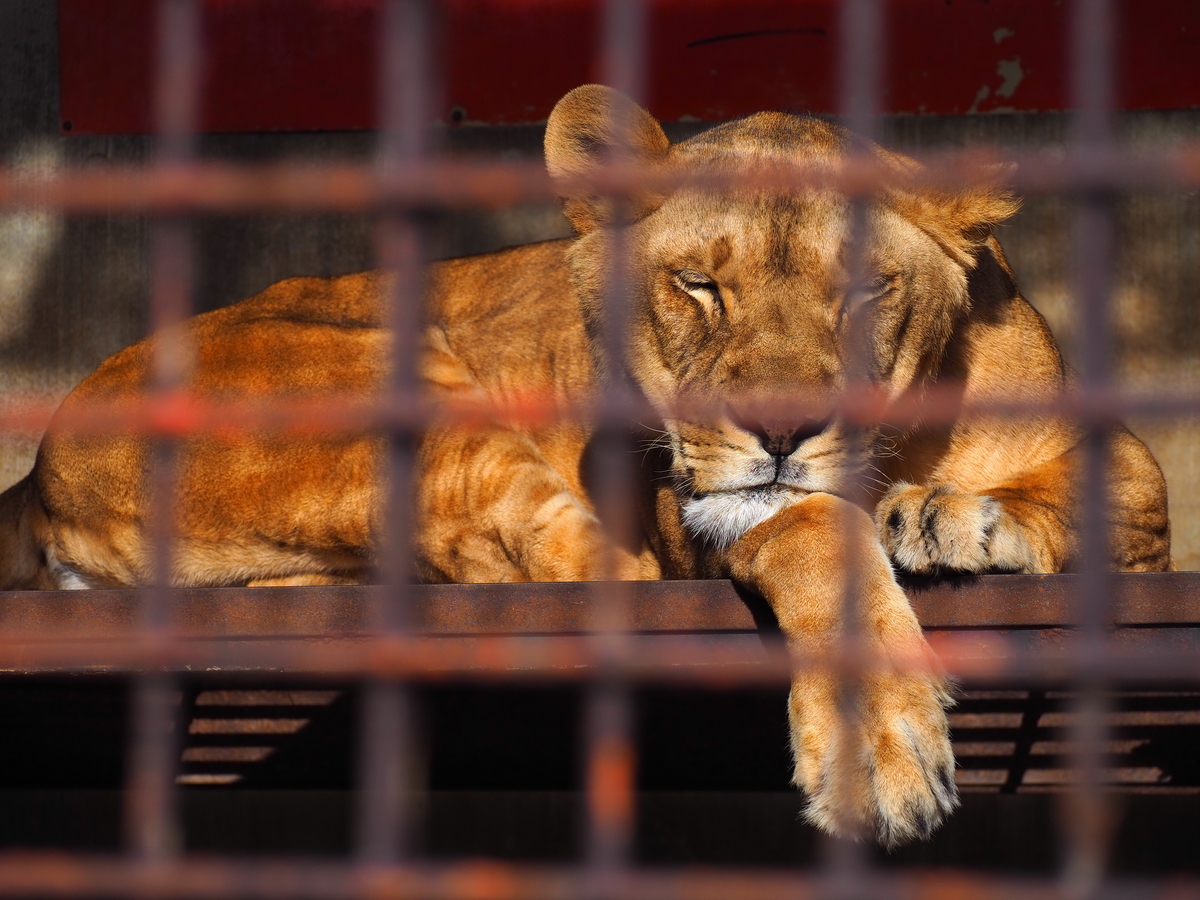 宇都宮動物園3