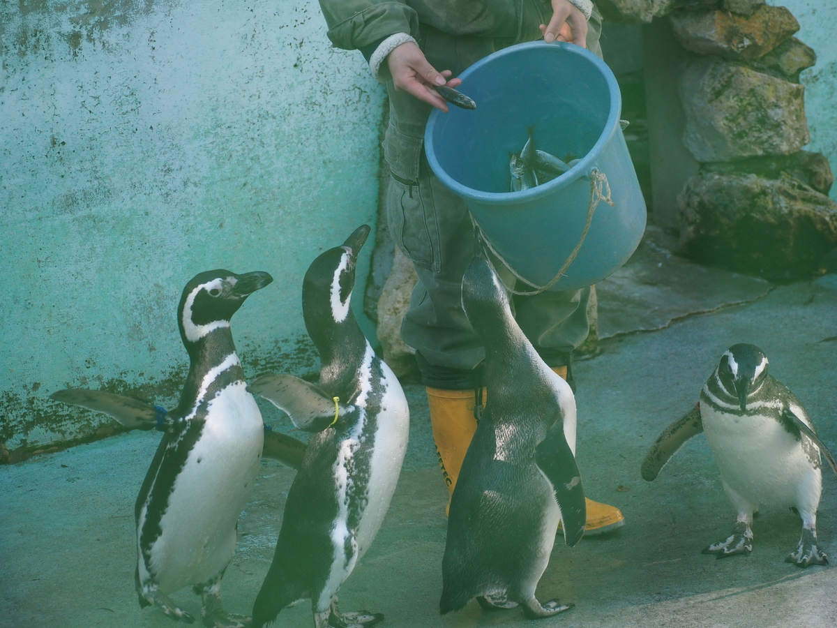 宇都宮動物園5