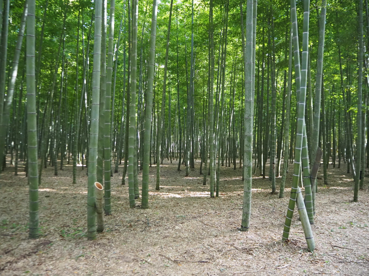 若山農場4