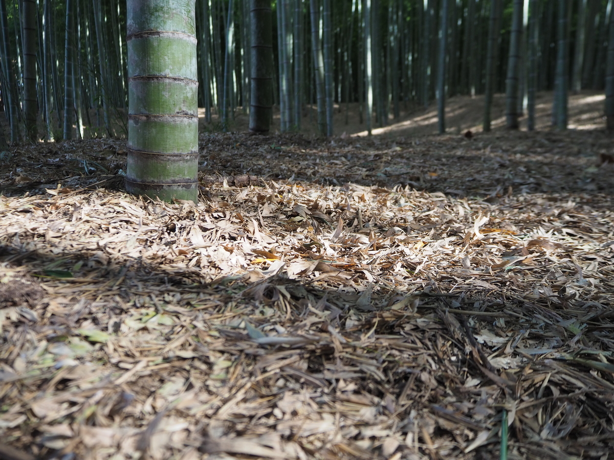若山農場3